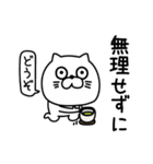 ねこたまっしぐら敬語親しき間柄（個別スタンプ：11）