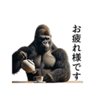 【気遣い】イケメンゴリラ（個別スタンプ：1）