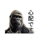 【気遣い】イケメンゴリラ（個別スタンプ：10）