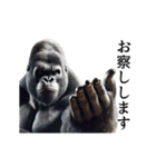 【気遣い】イケメンゴリラ（個別スタンプ：12）