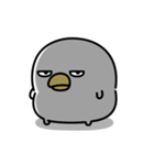 うるせぇトリ★腹立つスタンプ（個別スタンプ：7）
