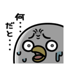 うるせぇトリ★腹立つスタンプ（個別スタンプ：24）