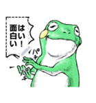 どうぶつが大好き03カエル_massage_α（個別スタンプ：3）