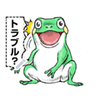 どうぶつが大好き03カエル_massage_α（個別スタンプ：4）