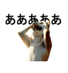 デカ動く ふつつかな犬（個別スタンプ：5）