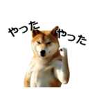 デカ動く ふつつかな犬（個別スタンプ：6）