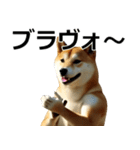 デカ動く ふつつかな犬（個別スタンプ：10）