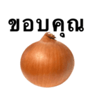 国産玉ねぎ【タイ語のみ】2（個別スタンプ：2）