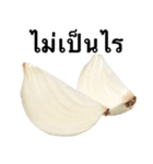 国産玉ねぎ【タイ語のみ】2（個別スタンプ：3）