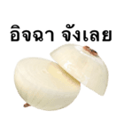 国産玉ねぎ【タイ語のみ】2（個別スタンプ：6）