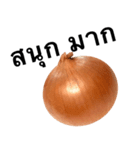 国産玉ねぎ【タイ語のみ】2（個別スタンプ：7）