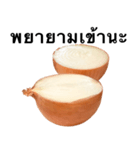 国産玉ねぎ【タイ語のみ】2（個別スタンプ：8）