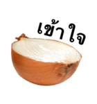 国産玉ねぎ【タイ語のみ】2（個別スタンプ：14）