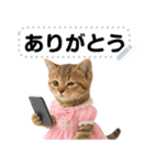 アイドルになった子猫＠メッセージスタンプ（個別スタンプ：7）