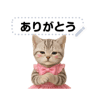 アイドルになった子猫＠メッセージスタンプ（個別スタンプ：10）