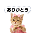 アイドルになった子猫＠メッセージスタンプ（個別スタンプ：11）