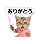 アイドルになった子猫＠メッセージスタンプ（個別スタンプ：12）