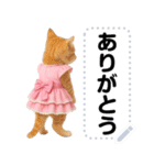 アイドルになった子猫＠メッセージスタンプ（個別スタンプ：16）