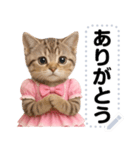 アイドルになった子猫＠メッセージスタンプ（個別スタンプ：19）