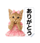 アイドルになった子猫＠メッセージスタンプ（個別スタンプ：20）