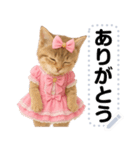アイドルになった子猫＠メッセージスタンプ（個別スタンプ：22）
