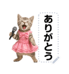 アイドルになった子猫＠メッセージスタンプ（個別スタンプ：23）