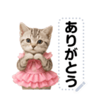 アイドルになった子猫＠メッセージスタンプ（個別スタンプ：24）