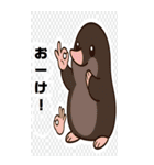 日常における挨拶系のBIGスタンプ！！（個別スタンプ：11）