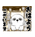 飛び出すB＆Wのシーズー犬 2025 「冬」（個別スタンプ：1）