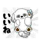 飛び出すB＆Wのシーズー犬 2025 「冬」（個別スタンプ：3）