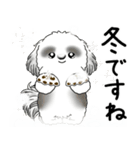 飛び出すB＆Wのシーズー犬 2025 「冬」（個別スタンプ：5）