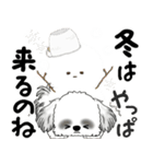 飛び出すB＆Wのシーズー犬 2025 「冬」（個別スタンプ：6）