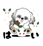 飛び出すB＆Wのシーズー犬 2025 「冬」（個別スタンプ：7）