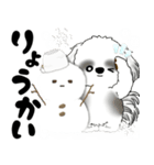 飛び出すB＆Wのシーズー犬 2025 「冬」（個別スタンプ：8）