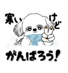 飛び出すB＆Wのシーズー犬 2025 「冬」（個別スタンプ：9）