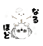 飛び出すB＆Wのシーズー犬 2025 「冬」（個別スタンプ：11）