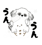 飛び出すB＆Wのシーズー犬 2025 「冬」（個別スタンプ：12）