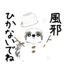 飛び出すB＆Wのシーズー犬 2025 「冬」（個別スタンプ：13）