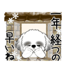 飛び出すB＆Wのシーズー犬 2025 「冬」（個別スタンプ：17）