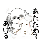 飛び出すB＆Wのシーズー犬 2025 「冬」（個別スタンプ：20）