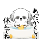 飛び出すB＆Wのシーズー犬 2025 「冬」（個別スタンプ：21）