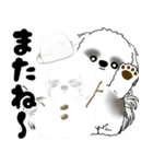 飛び出すB＆Wのシーズー犬 2025 「冬」（個別スタンプ：22）