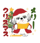 飛び出すB＆Wのシーズー犬 2025 「冬」（個別スタンプ：23）