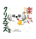 飛び出すB＆Wのシーズー犬 2025 「冬」（個別スタンプ：24）