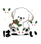 飛び出す犬さん 2025 「冬」（個別スタンプ：7）