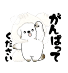 飛び出す犬さん 2025 「冬」（個別スタンプ：19）