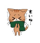 【冬】ふわもちネコさん③ 茶トラさん（個別スタンプ：3）