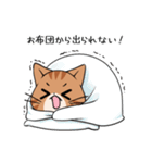 【冬】ふわもちネコさん③ 茶トラさん（個別スタンプ：5）