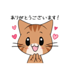 【冬】ふわもちネコさん③ 茶トラさん（個別スタンプ：6）