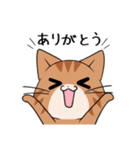 【冬】ふわもちネコさん③ 茶トラさん（個別スタンプ：7）